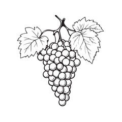 bunch of grapes with leaves