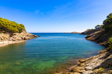Fototapeta premium Cala d'Aiguafreda z czystą wodą, otoczona sosnami i skałami, pod czystym niebem, Hiszpania.