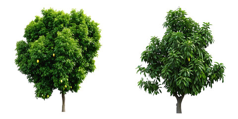 mango trees on isolated white background PNG.AI GENERATED