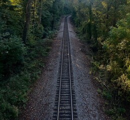 Obraz premium Railroad tracks through thick woods