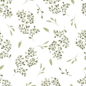 Watercolor seamless pattern with green leaves. Botanical floral pastel background. Delicate floral and herb illustration.