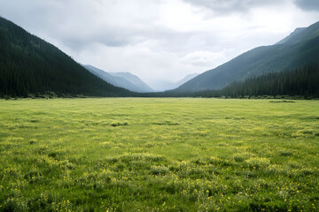 Empty green meadow with moutains in the background, grass field with a bit of blue sky at summer