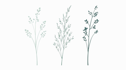 Fototapeta premium Elegant minimalist wheat stalks in dual shades of green for design projects