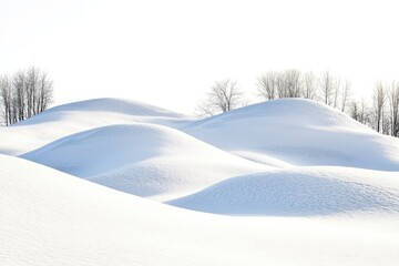 Snowy Winter Landscape with Frosty Terrain


