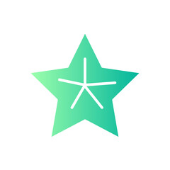 star fruit gradient icon