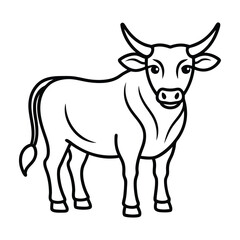 cow isolated on white