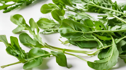 Obraz premium arugula isolated on white background 
