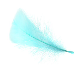 Fluffy light turquoise feather isolated on white