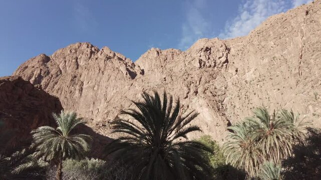 Africa, Tinghir, Morocco,   Todra Gorge of Atlas mountains, People tourists walking between rocky high walls of the canyon ,
Todra and Dades Valley tourist destination sightseeing attraction