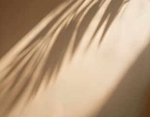 blurred shadow from palm leaves on light cream wall minimalistic beautiful summer spring background for product presentation