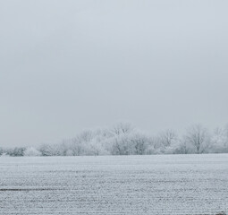 Winter landscape background