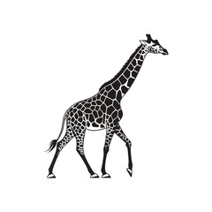 Giraffe isolated vector 