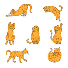 a set of drawings of red cats, hand-drawn in a cartoon style.