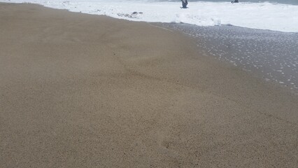 sand dunes in the morning