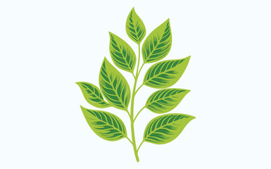  Green leaf ecology icon, leaf isolated on transparent background. Environment and Nature Symbol, Vector illustration.