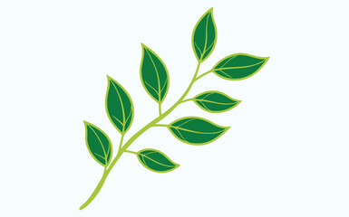  green leaf ecology icon, leaf isolated on transparent background. Environment and Nature Symbol, Vector illustration.