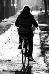 in bicicletta
