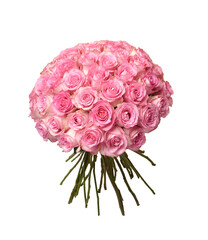 Blush Pink Roses in a Dome Arrangement with a Yellow Backdrop