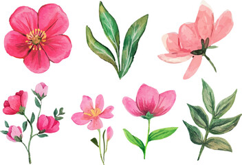 set of pink flowers