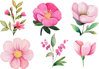 pink and white flowers