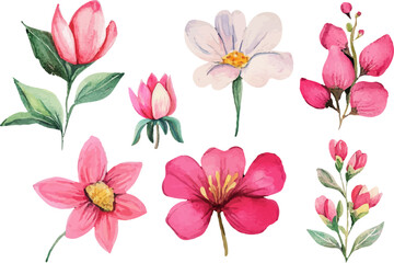 pink and white flowers