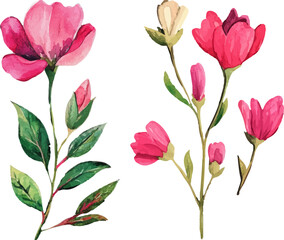 Fototapeta premium bouquet of tulips