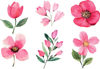 set of pink flowers