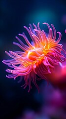 Vibrant underwater scene featuring a pink sea anemone with orange center, glowing against a deep blue background.