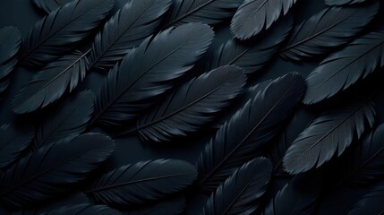 Dark Elegance A Textured Arrangement of Midnight Feathers