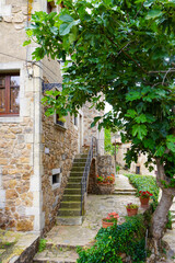 Hausfassade mit Blumen