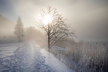 Winterlandschaft am See 