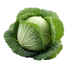 Obraz premium cabbage vegetable png. leafy green vegetable cabbage isolated. fresh and organic cabbage top view png. green vegetable for healthy food designs and organic recipes isolated 