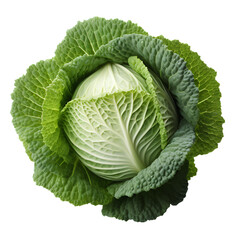 cabbage vegetable png. leafy green vegetable cabbage isolated. fresh and organic cabbage top view png. green vegetable for healthy food designs and organic recipes isolated
