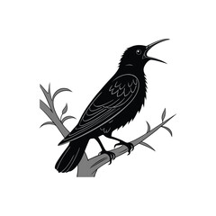 hummingbird vector art and illustration