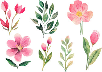 set of pink flowers