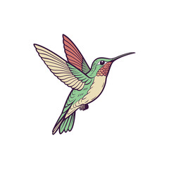 hummingbird vector art and illustration