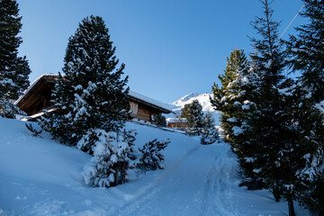 Holzhaus mit Schnee und Tannen am Berg 