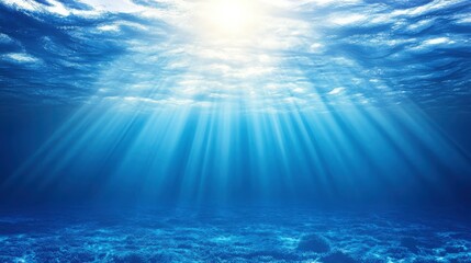 Coastal Waters with Natural Light and Marine Textures