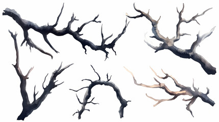 dry black thorns branches