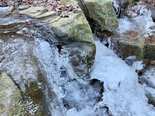 stream in the forest