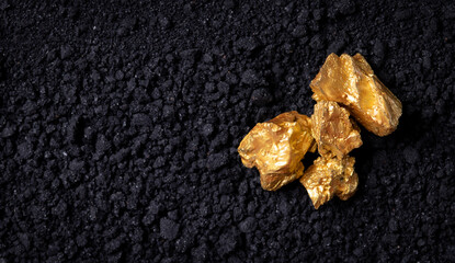 Gold nuggets on small pieces of strong metal ore. closeup. gold nugget