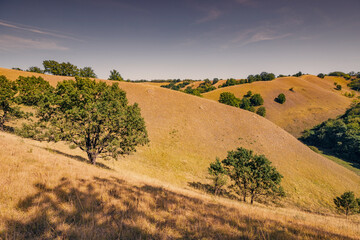 Obraz premium Beautiful countryside landscape showcasing meadows and fields in Deliblatska Pescara, perfect for outdoor adventures and tourism