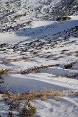 snowy meadow, Italy