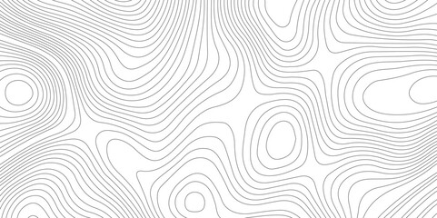 Abstract topographic contours map background, Vector contour topographic map background. Topography and geography map grid abstract backdrop, Modern design with White background.