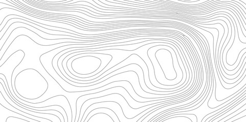 Abstract topographic contours map background, Vector contour topographic map background. Topography and geography map grid abstract backdrop, Modern design with White background.