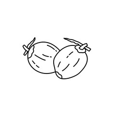 coconut line icon