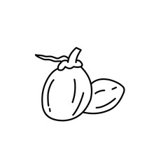 coconut line icon