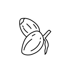 coconut line icon