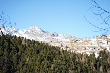 landscape in the winter