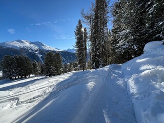 Excellently arranged and cleaned winter trails for walking, hiking, sports and recreation in the...